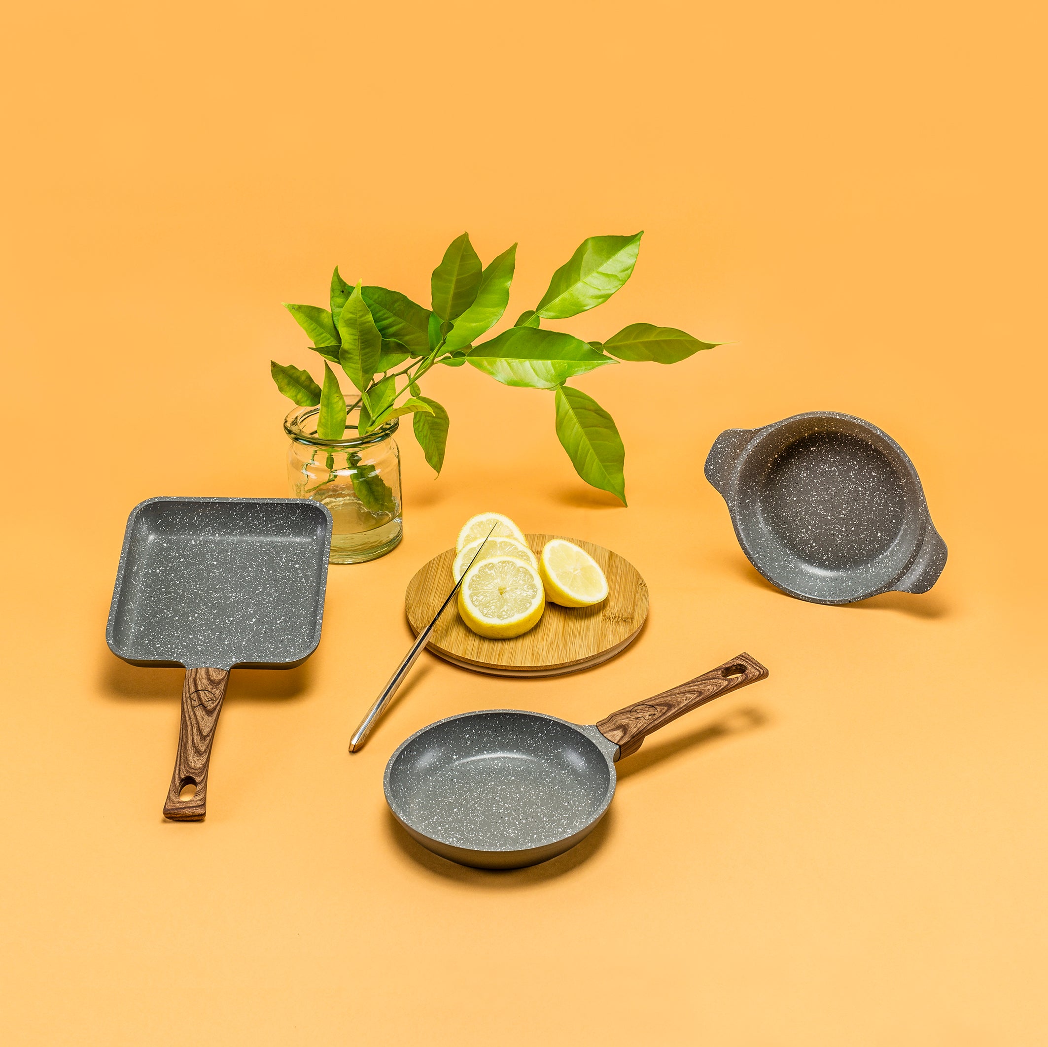 Mini Cazuela Capriccio para horno y todo tipo de cocinas, salvo inducc –  Amercook Europe