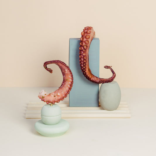 Pulpo a la brasa