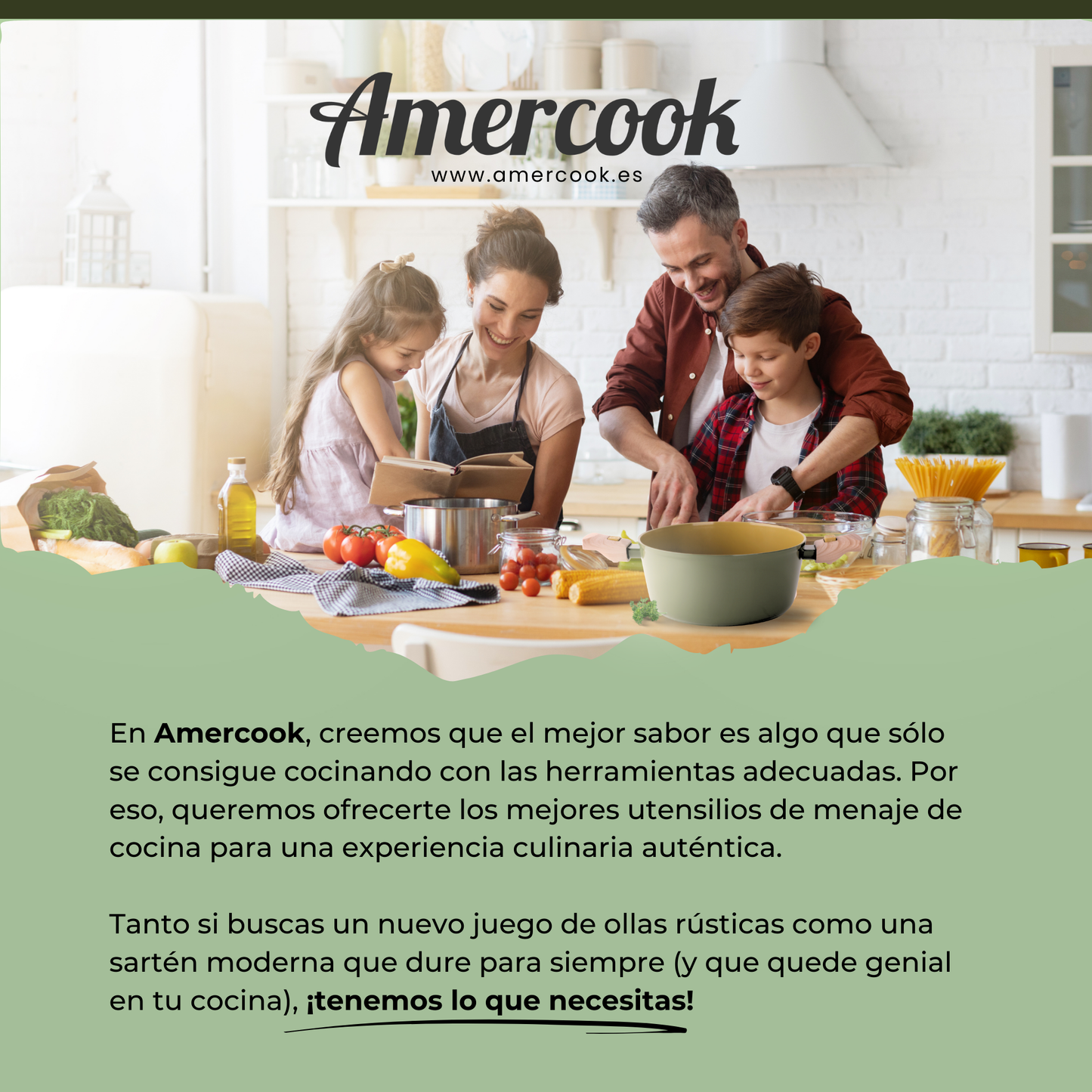 Cacerola AmVegan con asas desmontables, apta para horno y todo tipo de cocinas incluso inducción