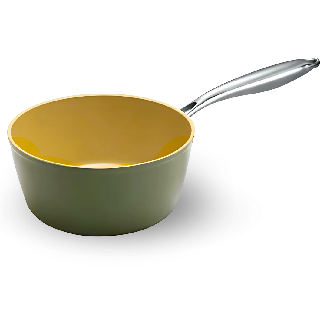 AmVegan Chef professional saucepan by Fran López with riveted handle, suitable for all types of cookers, including induction